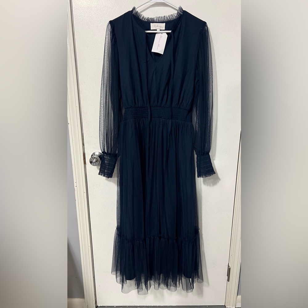Elegant Navy Blue Sheer Dress